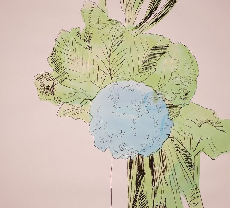 Andy Warhol, Ohne Titel, aus der Folge: Flowers, 1974, Serigrafien, handkoloriert, Kunstsammlungen Chemnitz, Grafiksammlung Brigitte und Hans Robert Thomas