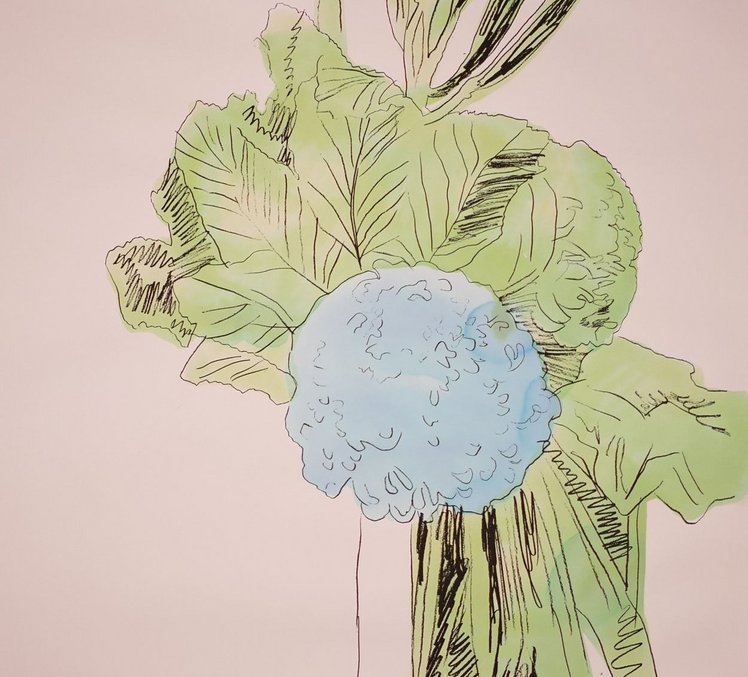 Andy Warhol, Ohne Titel, aus der Folge: Flowers, 1974, Serigrafien, handkoloriert, Kunstsammlungen Chemnitz, Grafiksammlung Brigitte und Hans Robert Thomas