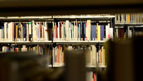 Blick durch ein Bücherregal hindurch auf das gegenüberstehende in der Bibliothek des Landesmuseums Kunst & Kultur Oldenburg
