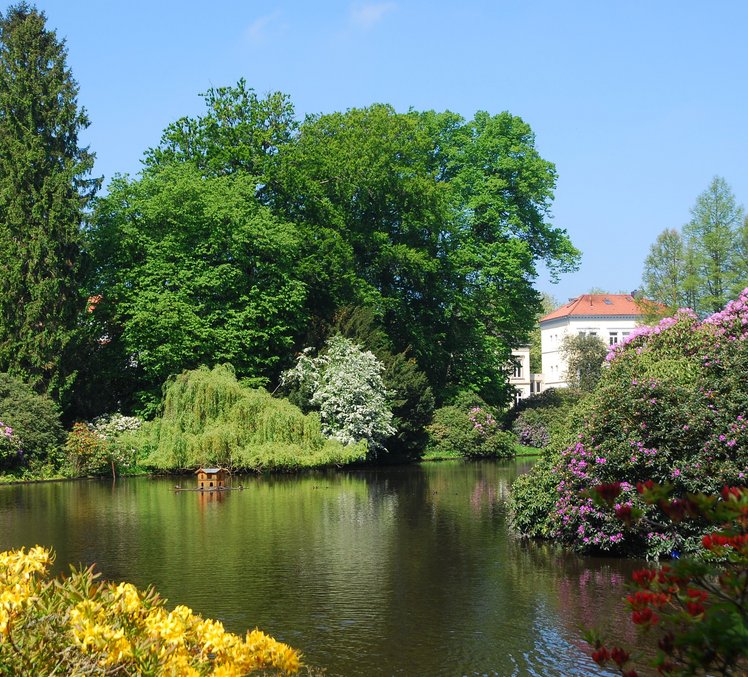 Foto des Oldenburger Schlossgartens